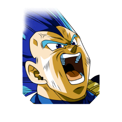 SSB Evolved Vegeta + 
SSB Goku (Kaioken)