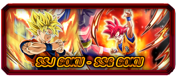 TUR INT [Fierce Determination] Super Saiyan Goku -> Super Saiyan God Goku!