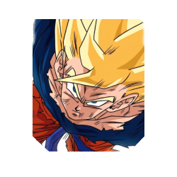 SSJ Goku