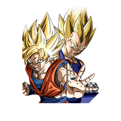 SSJ Goku & SSJ Vegeta